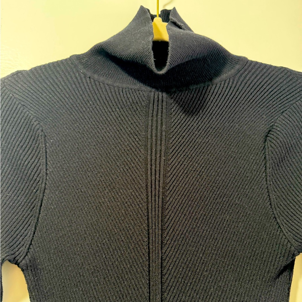Long sleeve turtleneck knit dress. Worn once. Pet friendly smoke free home.